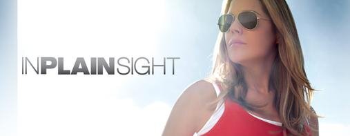 In_plain_sight.jpg