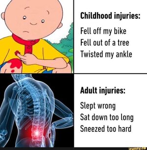 images - 2023-08-17T150911.721.jpeg