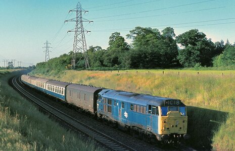 IMG_1887.jpeg IMG_1887.jpeg