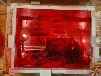 20230812_110800.jpg 20230812_110800.jpg