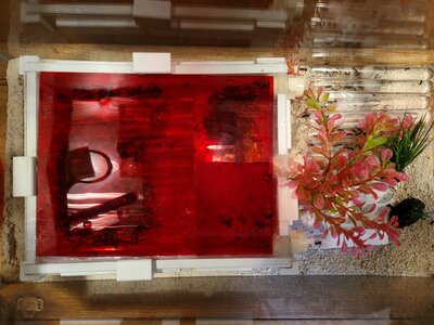 20230819_102009.jpg 20230819_102009.jpg