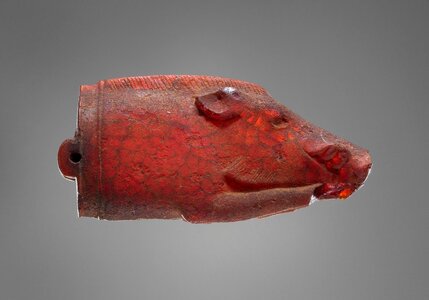 amber a5064e88f811_a81738d5_1280.jpg