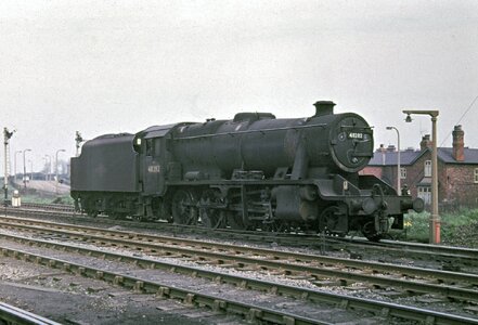 IMG_8306.jpeg IMG_8306.jpeg