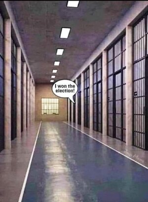 I won the election.jpeg