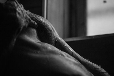 Zachary Morris photographed by Tate Tullier 20226025.jpg