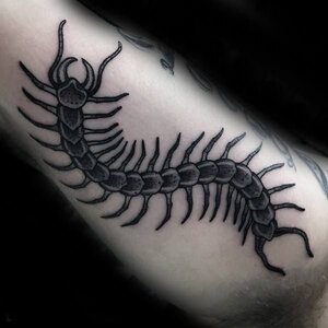 50 Centipede Tattoo Designs For Men - Insect Ink Ideas.jpeg