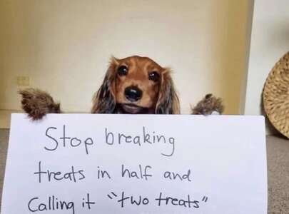 stopbreakingtreats-dogs.jpg