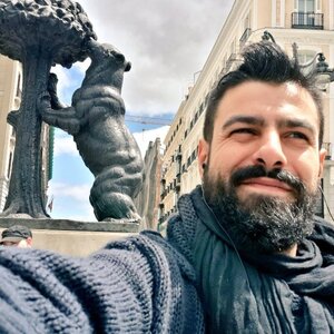 11085026_Osos en Madrid - Puerta del Sol.jpg