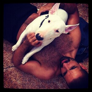 J.Araujo 11142340_c 2012.jpg