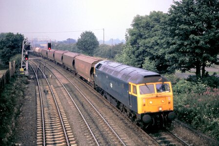 IMG_8426.jpeg IMG_8426.jpeg