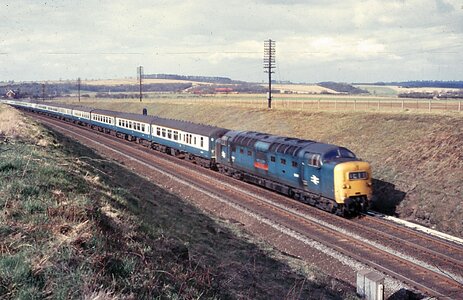 IMG_8439.jpeg IMG_8439.jpeg