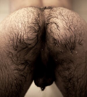 culo peludo12.jpg
