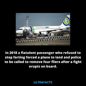 1694282172283.jpeg 1694282172283.jpeg