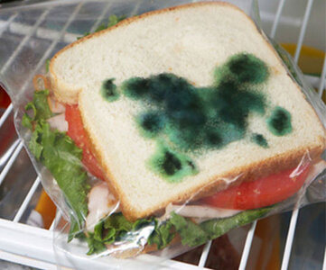 moldy-sandwich-bags-with-theft-protection.jpg