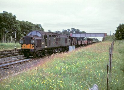 IMG_7986_Original.jpeg IMG_7986_Original.jpeg