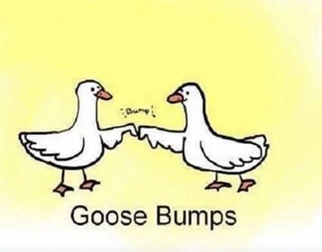 13 9 7 23.jpg 13 9 7 23.jpg