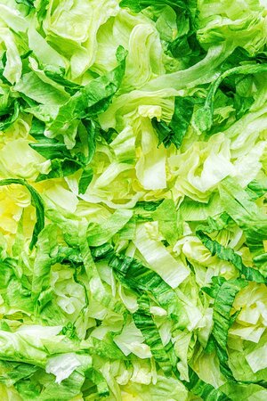 iceberg-lettuce-3.jpg