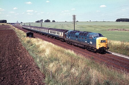 IMG_8460.jpeg IMG_8460.jpeg