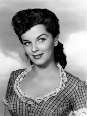 licensed-image (3).jpeg