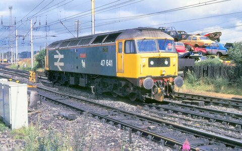 IMG_8470.jpeg IMG_8470.jpeg