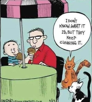 8 9 2 23.jpg 8 9 2 23.jpg