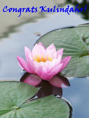 congrats kulindahr from buttons.jpg