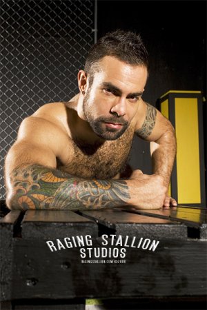 raging stallion studios.jpg