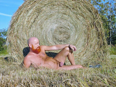 RollInTheHay-1.jpg