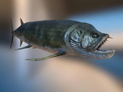 images - 2023-09-18T075137.221.jpeg