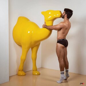 photographed by Jerome Moreau aka jmp 314930573.jpg