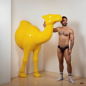 photographed by Jerome Moreau aka jmp 315240827.jpg