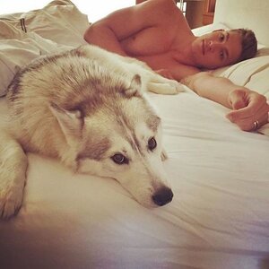 29-guy-lying-next-to-husky.jpg
