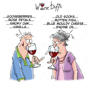Wine-Buffs-Cartoon-010.jpg