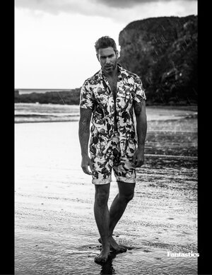 Fantastics 1498821049.jpg