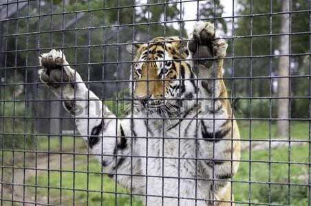 images - 2023-09-24T084249.863.jpeg