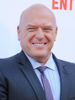 licensed-image (11).jpeg