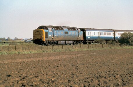 IMG_8754_Original.jpeg IMG_8754_Original.jpeg