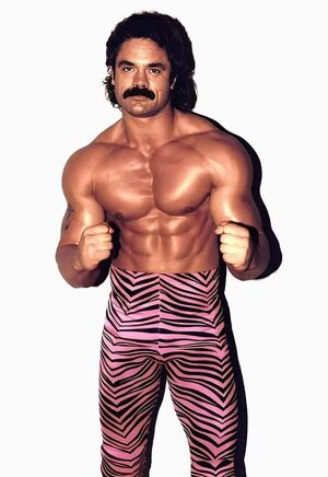 1-whats-your-favourite-match-from-ravishing-rick-rude-2-v0-7dv1nzytq4ua1.jpg