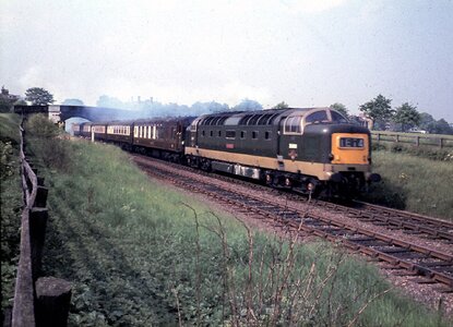 IMG_8547.jpeg IMG_8547.jpeg