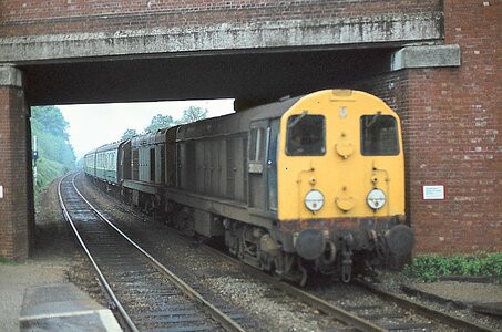 IMG_8913.jpeg IMG_8913.jpeg