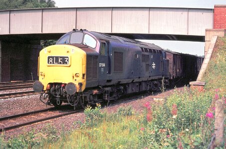 IMG_2158.jpeg IMG_2158.jpeg