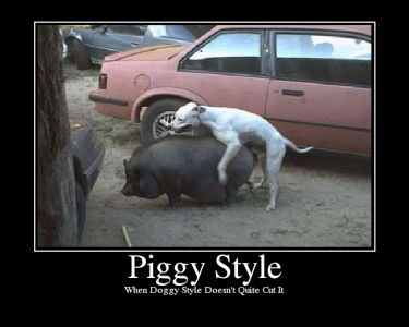 PiggyStyle.png