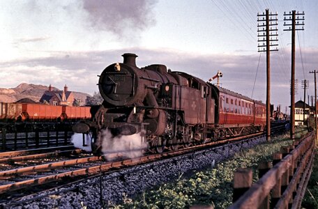 IMG_3995.jpeg IMG_3995.jpeg