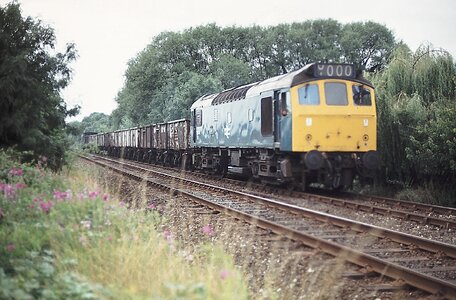 IMG_4017.jpeg IMG_4017.jpeg