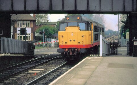 IMG_4018_Original.jpeg IMG_4018_Original.jpeg