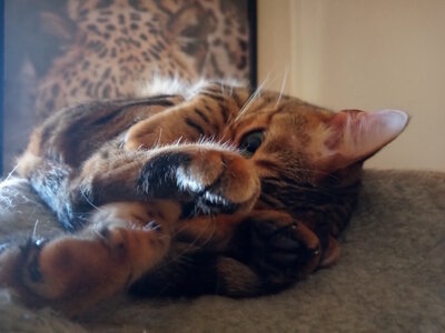 IMG_20230625_084413 copy.jpg IMG_20230625_084413 copy.jpg