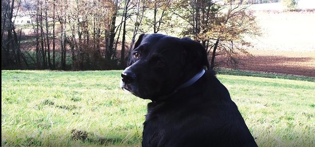 Capture d’écran 2022-12-15 165347.png