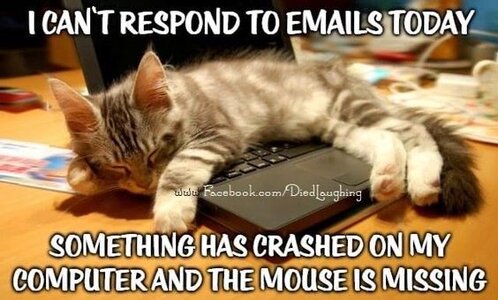 Something has crashed my computer.jpg