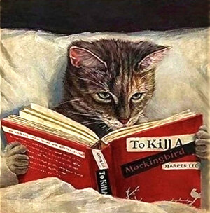to kill.jpg