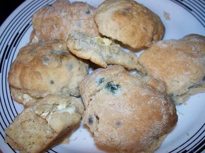 images - 2023-10-23T104000.330.jpeg